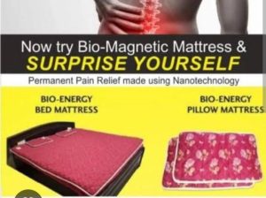 Nano Biomagnet Theraphy Bed