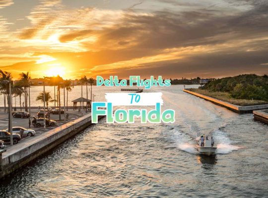 Delta Flights to Florida | Lowest-fares | Skymilesdelta
