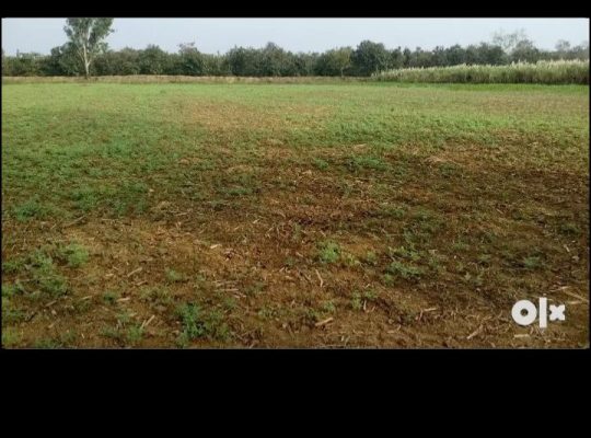 Agriculture land 3 Acre 12 gunta for sale