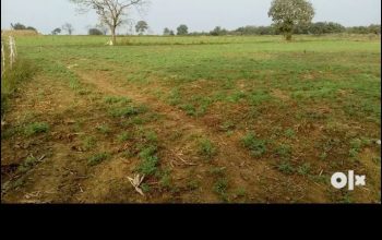Agriculture land 3 Acre 12 gunta for sale