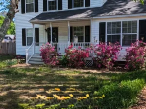 apartment for rent