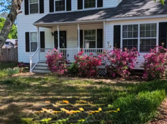 apartment for rent